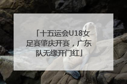 十五运会U18女足赛肇庆开赛，广东队无缘开门红
